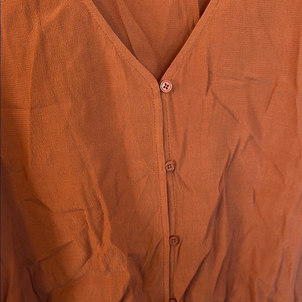 Rust Button-Up Blouse - Picture 3 of 5